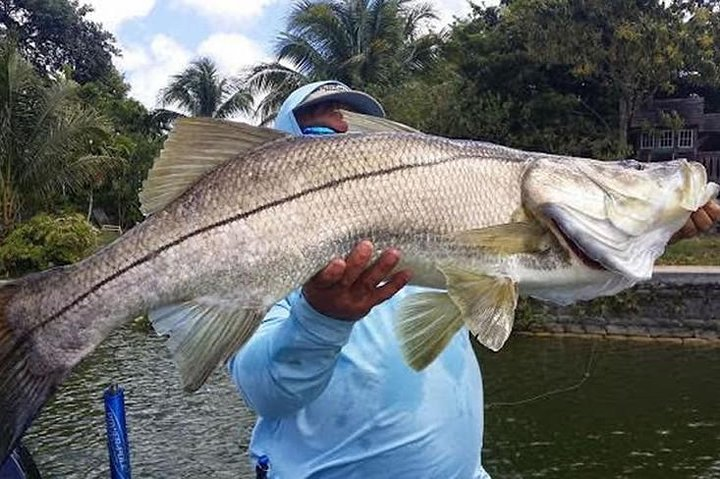 Homosassa Inshore Fishing Trip